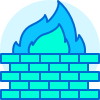 Cyber Security Firewall Icon